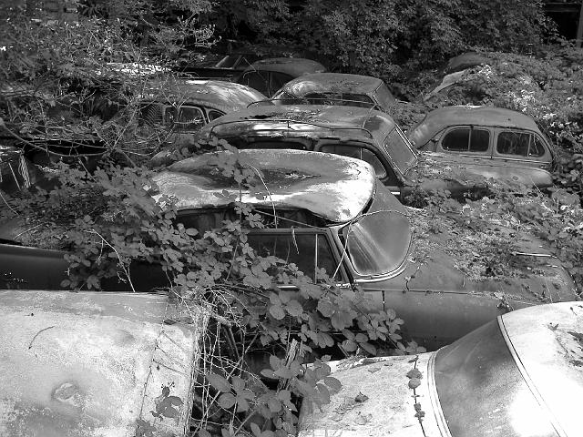 Autofriedhof - 012.JPG - Historischer Autofriedhof,    Gürbetal (CH)